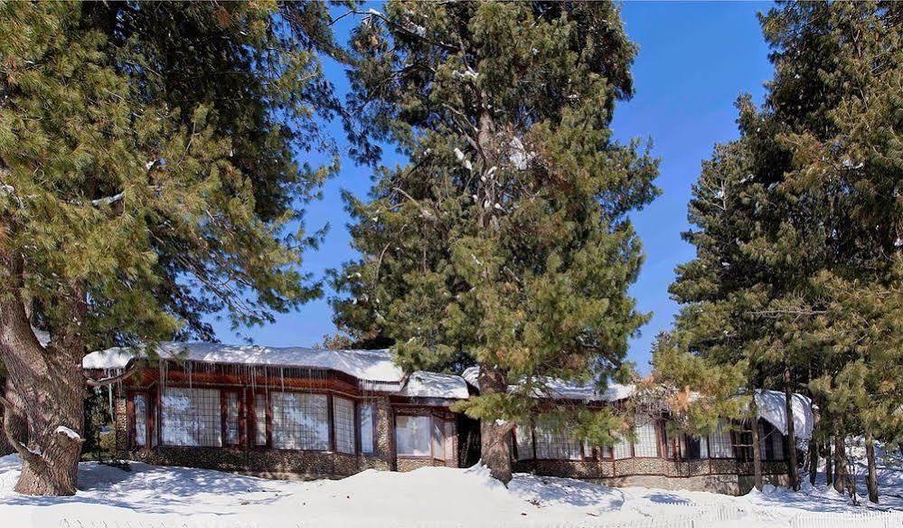 Hotel Senator Pine N Peak Pahalgām Exterior foto